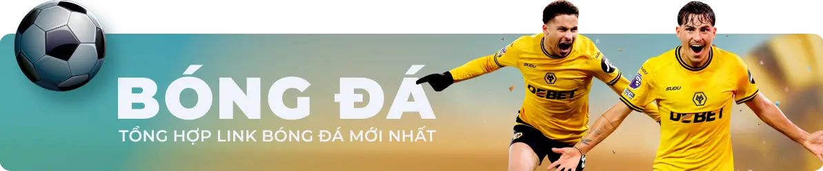 banner-bong-da